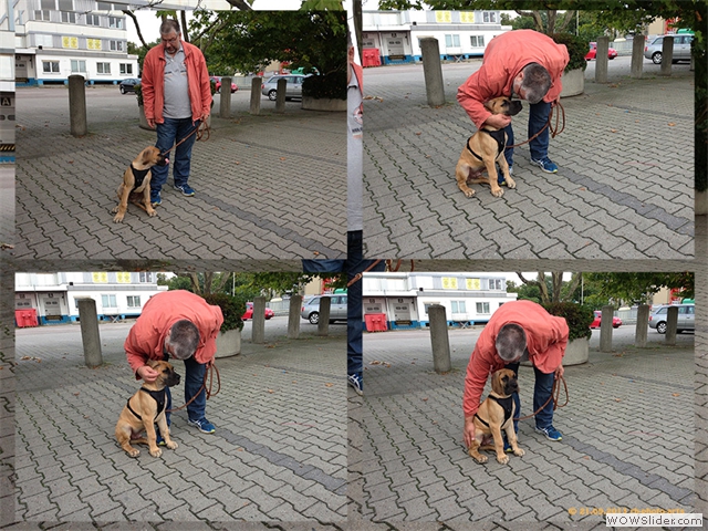 210913-zBerlin-Franz-Collage-1-