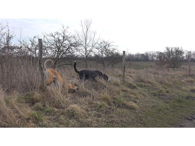 250215-Arni,-Franzi-und-Oskar-unterwegs-11