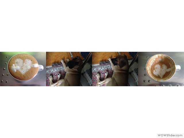 191113-Cafe-Franzi-Collage