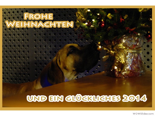 Weihnachten-2013