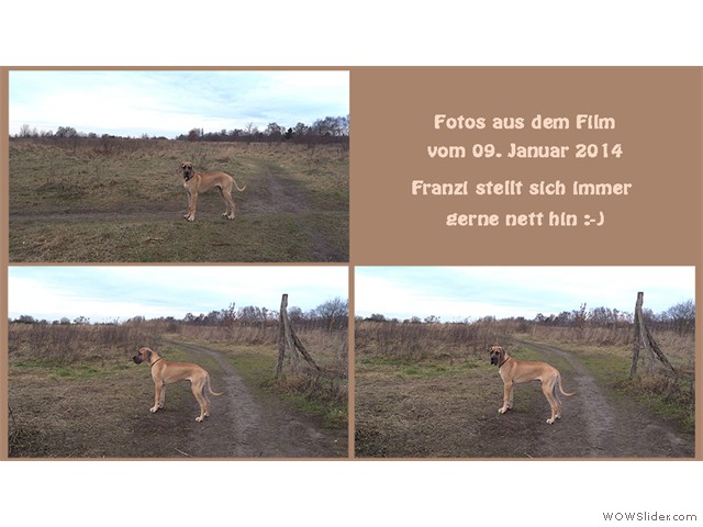 090114-Franzi-Steh-Collage